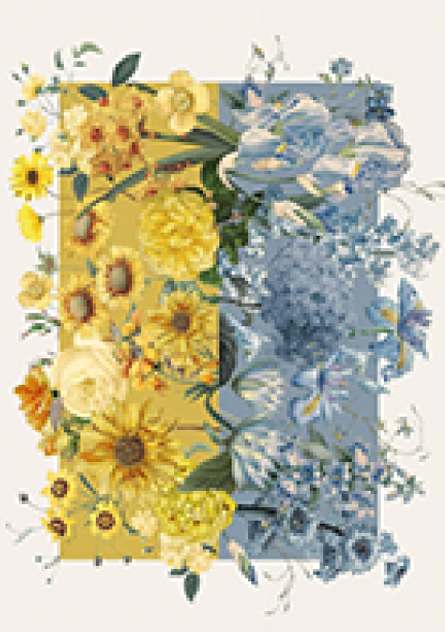 Plakat 480 x 480 mm